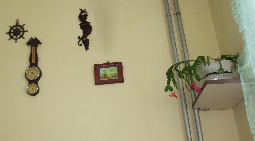 סופיה Kamigs Rooms חדר תמונה